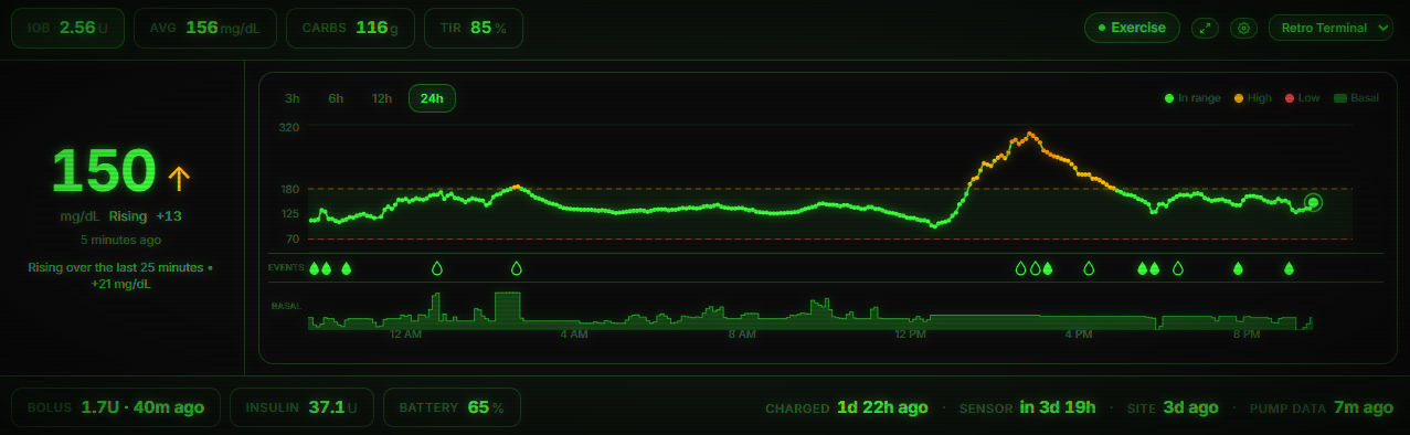 PumpDash desktop dashboard in the Retro Terminal theme