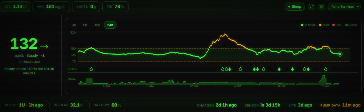 PumpDash desktop dashboard in the Retro Terminal theme